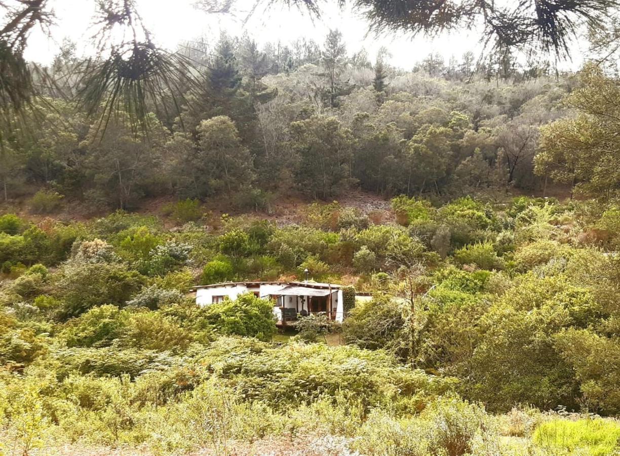 Half Moon Hollow Eco Cottage Mosselbaai Buitenkant foto